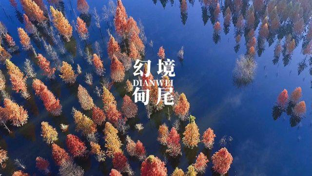 恩波利主场3-0击败蒙扎,茹尔科夫斯基进球连环,保级触手可及